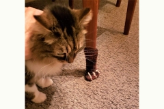 crochet_chair_socks1