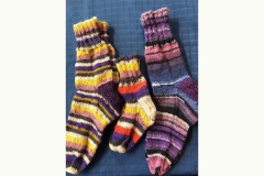 socks1